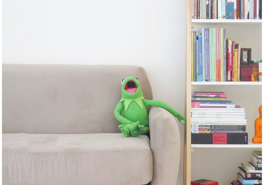 kermit on a couch the real one